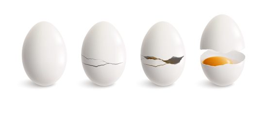 Cracking Egg Realistic Icon Set